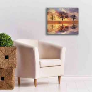 'Trio of Trees' by Lori Deiter Canvas Wall Art,24 x 20
