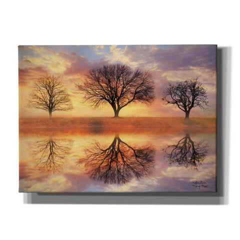 Image of 'Trio of Trees' by Lori Deiter Canvas Wall Art