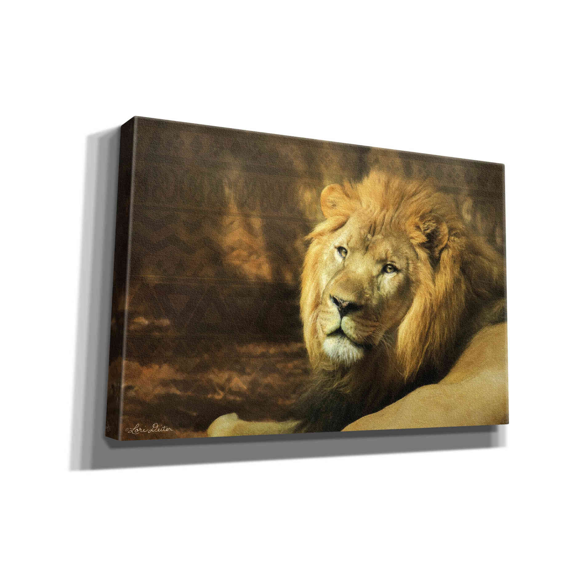 'Tribal Lion' by Lori Deiter Canvas Wall Art