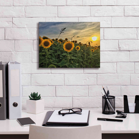 Image of 'Midwest Livin' I' by Donnie Quillen Canvas Wall Art,16 x 12
