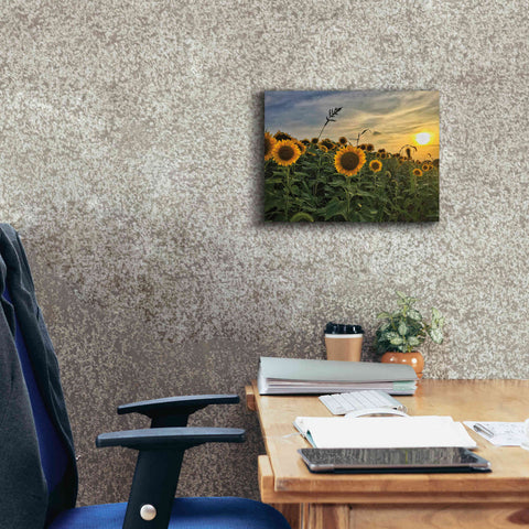 Image of 'Midwest Livin' I' by Donnie Quillen Canvas Wall Art,16 x 12