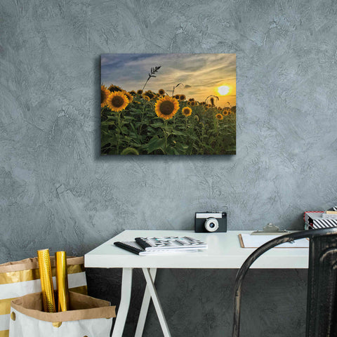 Image of 'Midwest Livin' I' by Donnie Quillen Canvas Wall Art,16 x 12