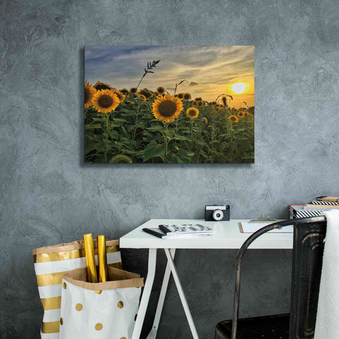 Image of 'Midwest Livin' I' by Donnie Quillen Canvas Wall Art,26 x 18