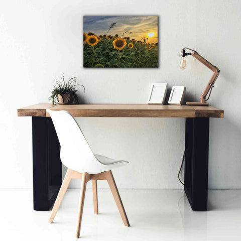 Image of 'Midwest Livin' I' by Donnie Quillen Canvas Wall Art,26 x 18