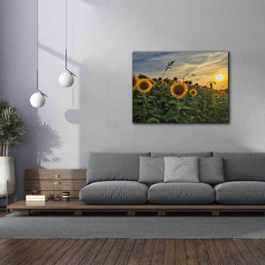 'Midwest Livin' I' by Donnie Quillen Canvas Wall Art,54 x 40