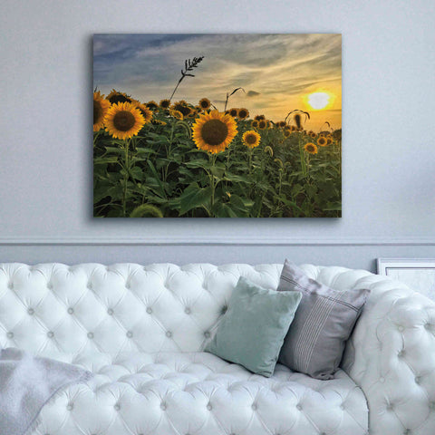 Image of 'Midwest Livin' I' by Donnie Quillen Canvas Wall Art,54 x 40
