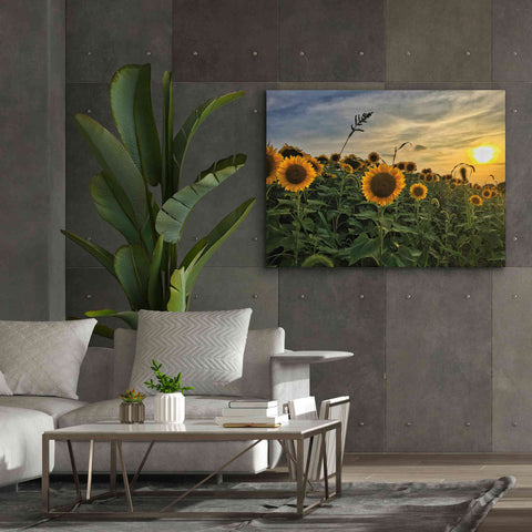 Image of 'Midwest Livin' I' by Donnie Quillen Canvas Wall Art,54 x 40