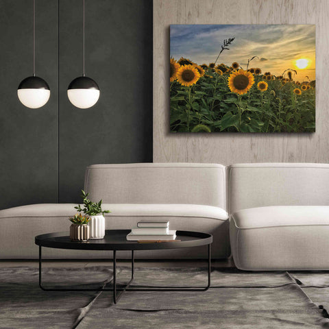 Image of 'Midwest Livin' I' by Donnie Quillen Canvas Wall Art,54 x 40
