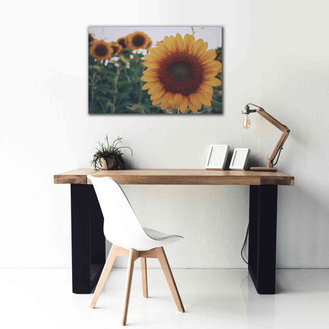 Image of 'Midwest Livin' II' by Donnie Quillen Canvas Wall Art,40 x 26
