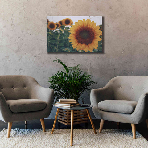 Image of 'Midwest Livin' II' by Donnie Quillen Canvas Wall Art,40 x 26