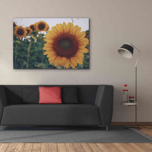 'Midwest Livin' II' by Donnie Quillen Canvas Wall Art,60 x 40