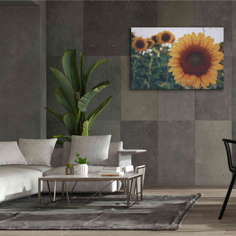 Image of 'Midwest Livin' II' by Donnie Quillen Canvas Wall Art,60 x 40