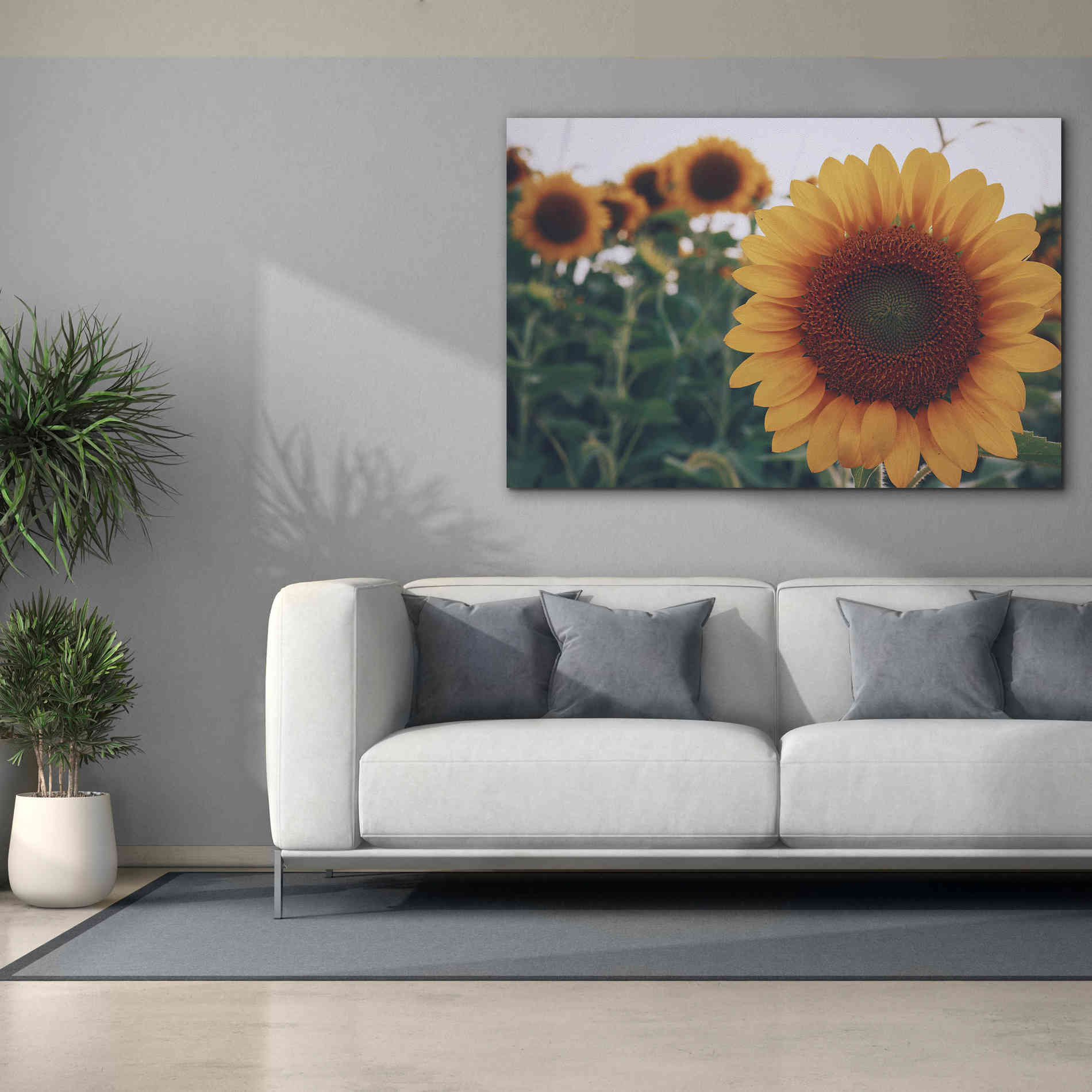 'Midwest Livin' II' by Donnie Quillen Canvas Wall Art,60 x 40