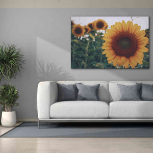 'Midwest Livin' II' by Donnie Quillen Canvas Wall Art,60 x 40
