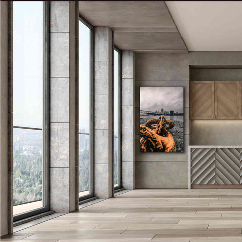 Image of 'Don't Break' by Donnie Quillen Canvas Wall Art,40 x 60