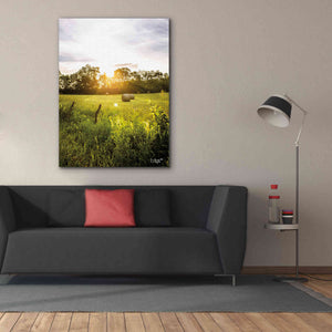 'Daybreak in the Country I' by Donnie Quillen Canvas Wall Art,40 x 54