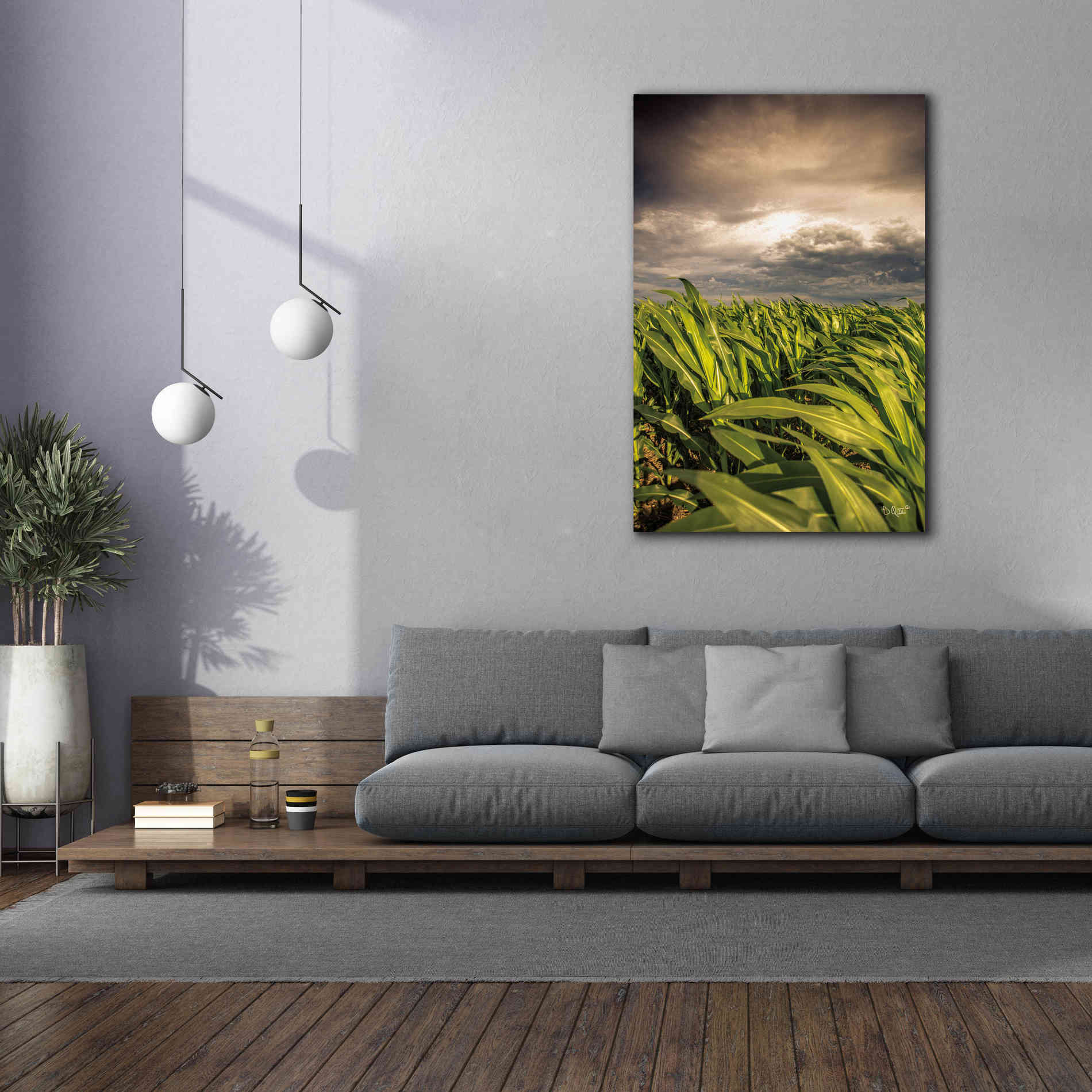 'Field of Corn' by Donnie Quillen Canvas Wall Art,40 x 60