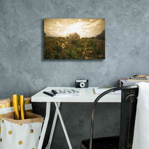 'Face the Sun II' by Donnie Quillen Canvas Wall Art,18 x 12