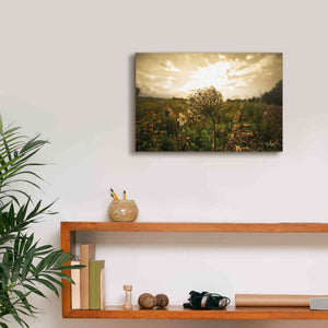 'Face the Sun II' by Donnie Quillen Canvas Wall Art,18 x 12