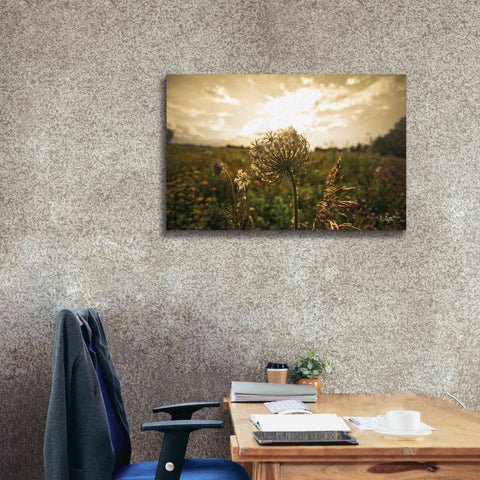 Image of 'Face the Sun II' by Donnie Quillen Canvas Wall Art,40 x 26