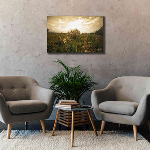 'Face the Sun II' by Donnie Quillen Canvas Wall Art,40 x 26