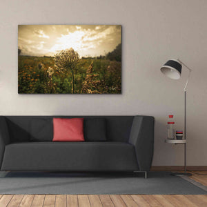 'Face the Sun II' by Donnie Quillen Canvas Wall Art,60 x 40