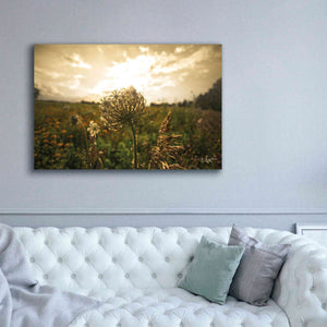 'Face the Sun II' by Donnie Quillen Canvas Wall Art,60 x 40