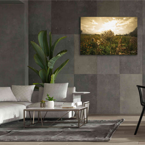 Image of 'Face the Sun II' by Donnie Quillen Canvas Wall Art,60 x 40