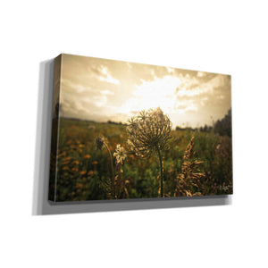 'Face the Sun II' by Donnie Quillen Canvas Wall Art