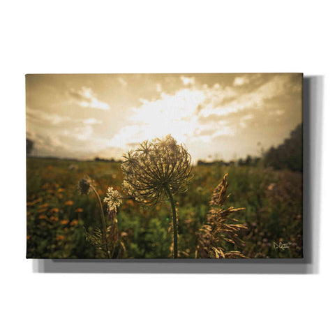 Image of 'Face the Sun II' by Donnie Quillen Canvas Wall Art