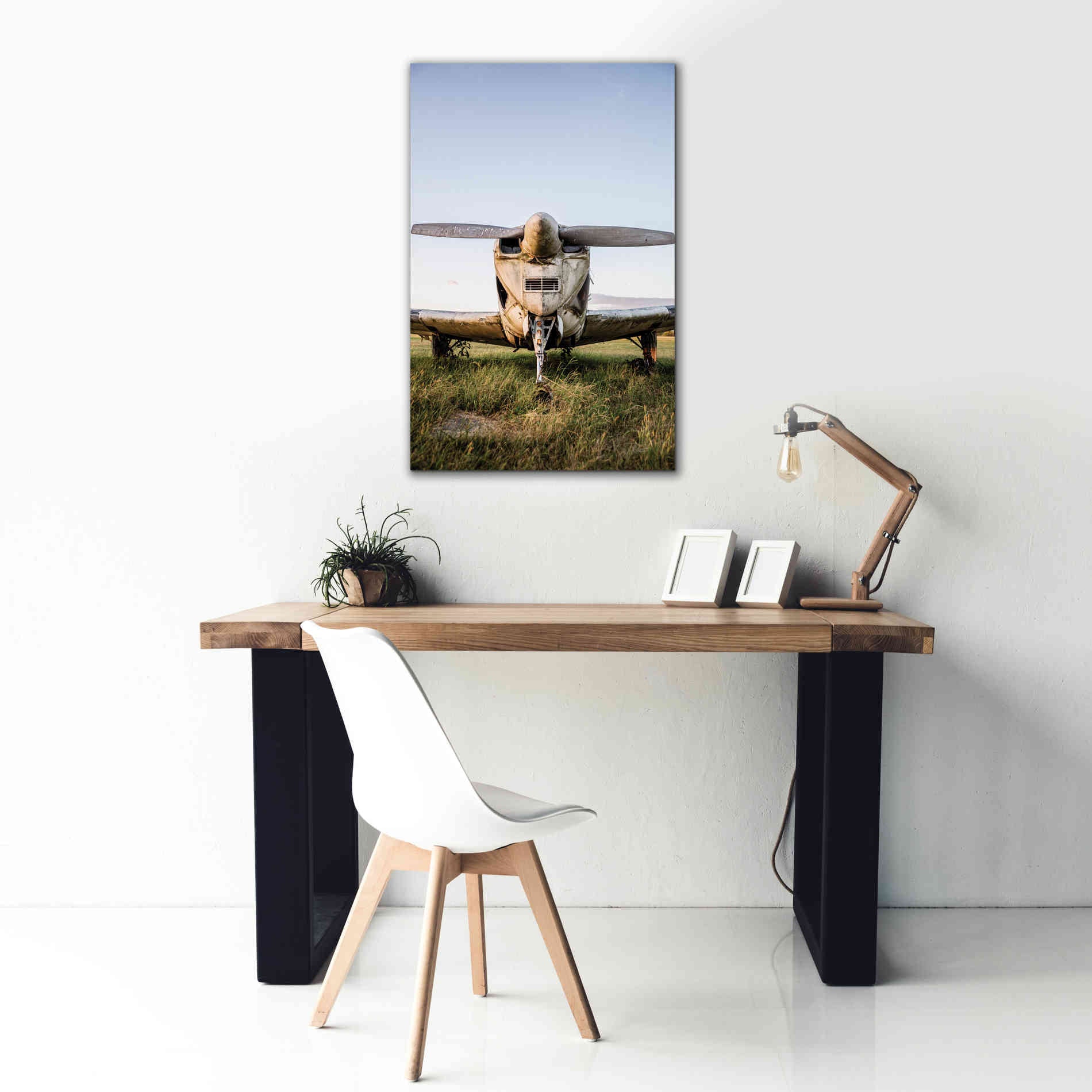 'Last Flight III' by Donnie Quillen Canvas Wall Art,26 x 40