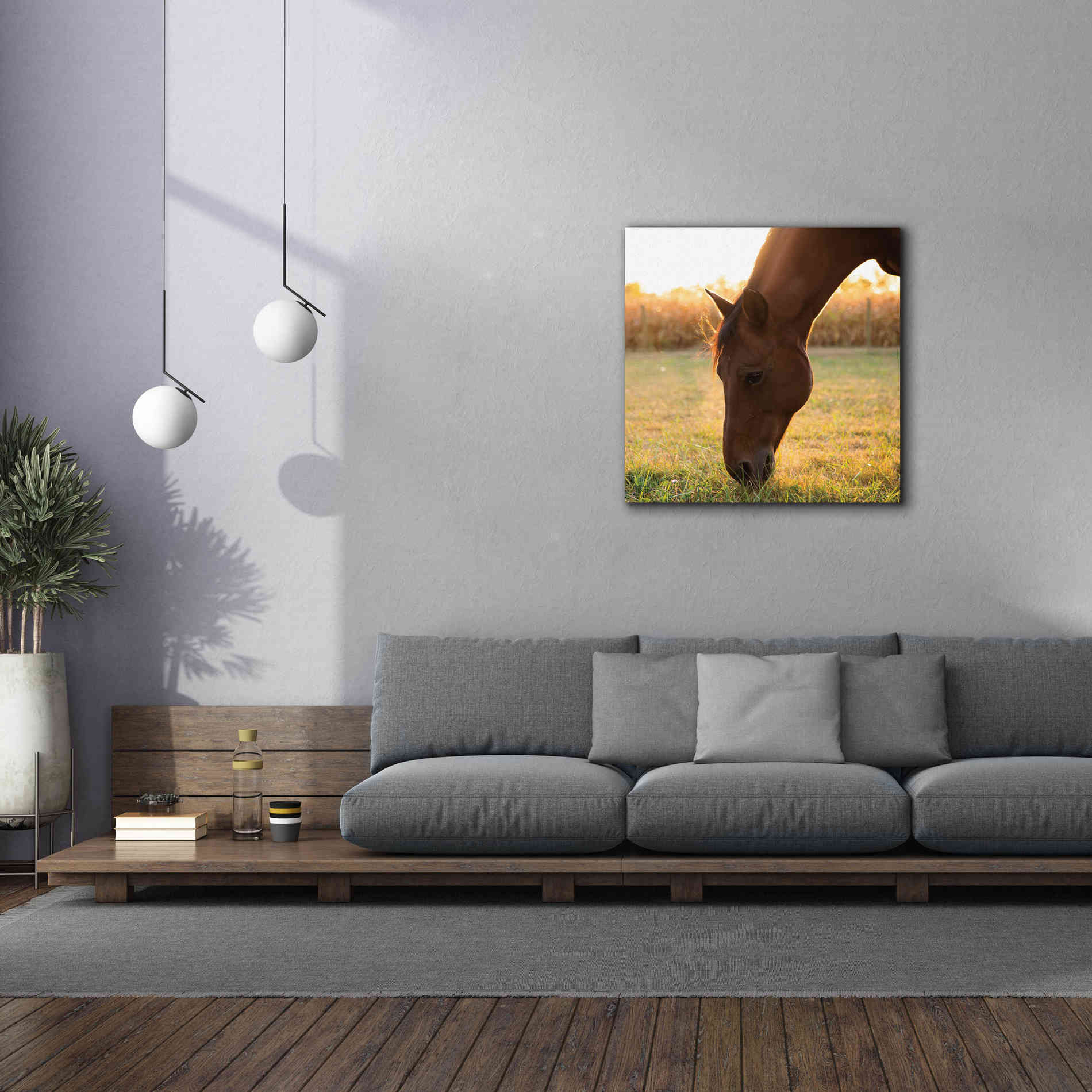 'Sunset Grazing II' by Donnie Quillen Canvas Wall Art,37 x 37