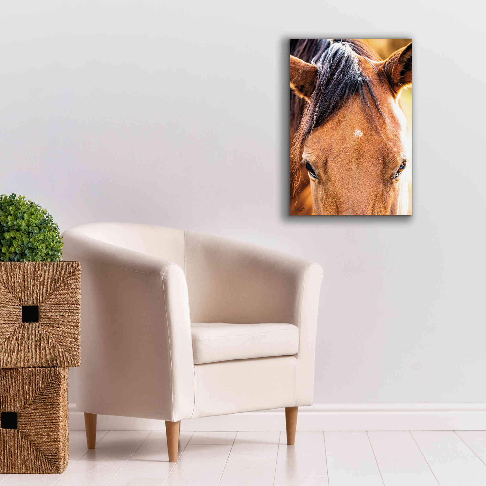 'Soft Brown' by Donnie Quillen Canvas Wall Art,18 x 26