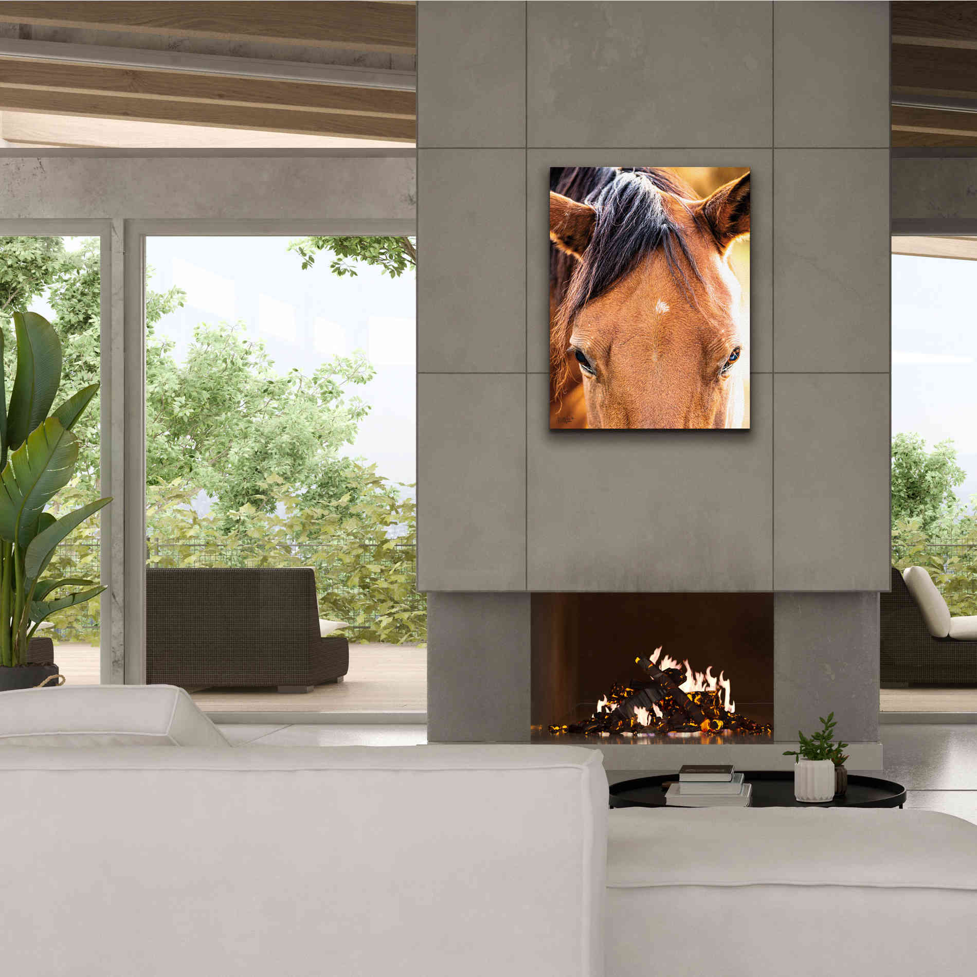 'Soft Brown' by Donnie Quillen Canvas Wall Art,26 x 34