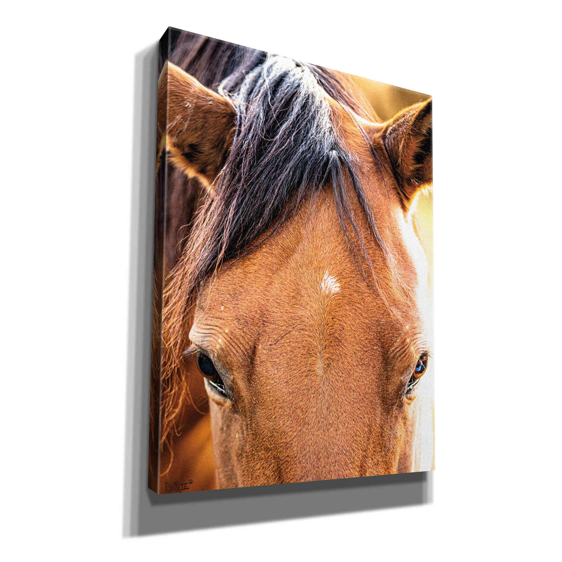 'Soft Brown' by Donnie Quillen Canvas Wall Art