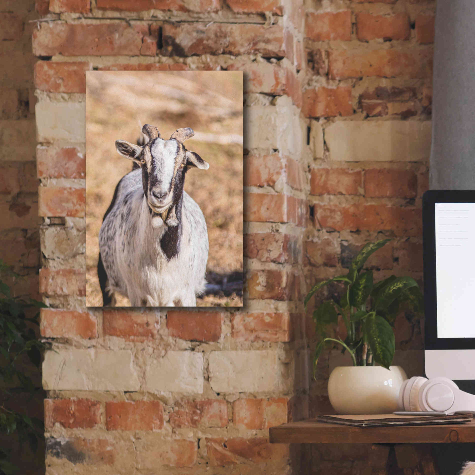 'Short Beard' by Donnie Quillen Canvas Wall Art,12 x 18