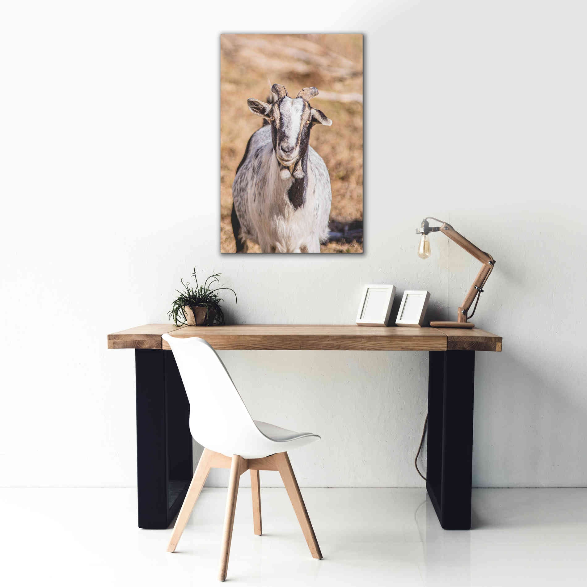 'Short Beard' by Donnie Quillen Canvas Wall Art,26 x 40