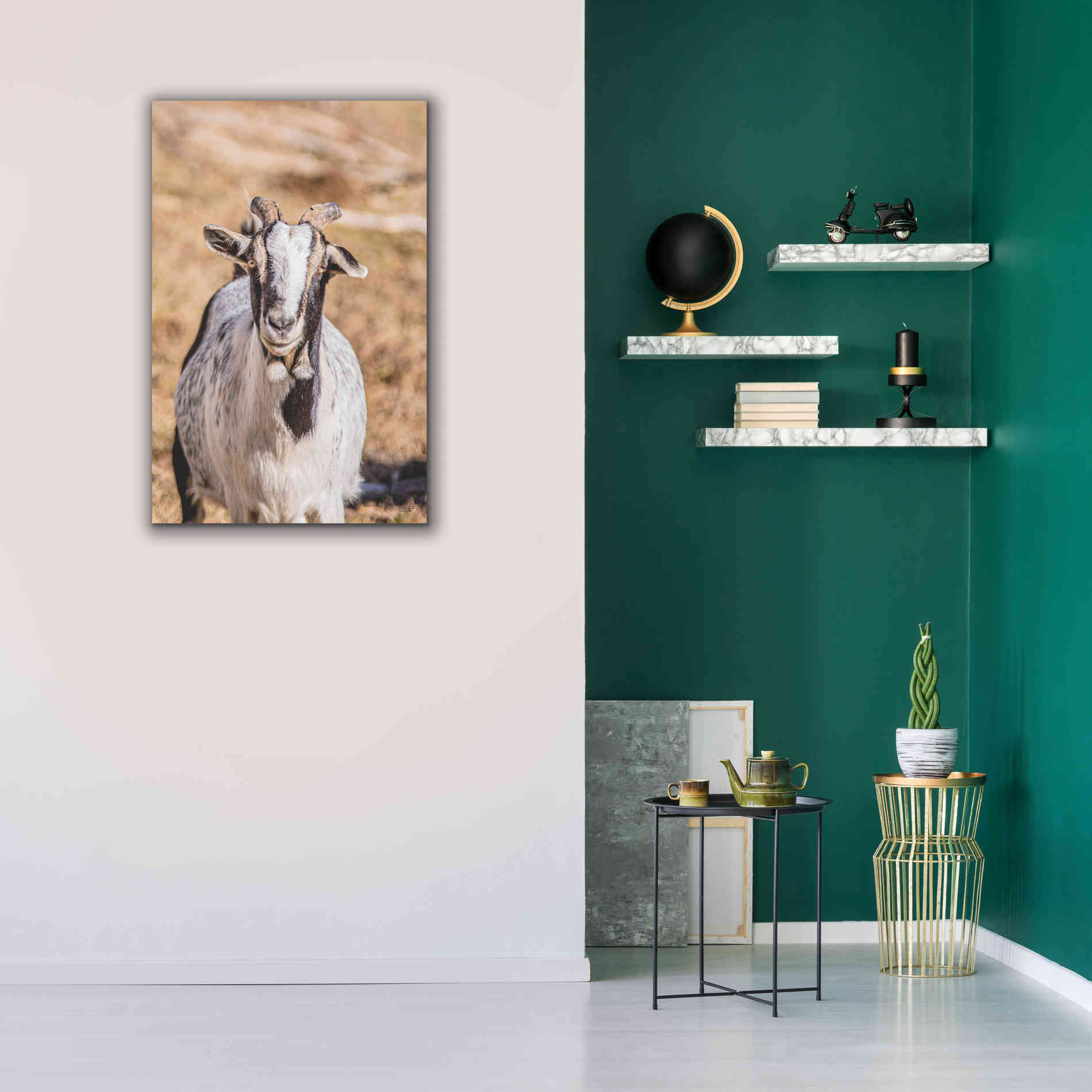 'Short Beard' by Donnie Quillen Canvas Wall Art,26 x 40