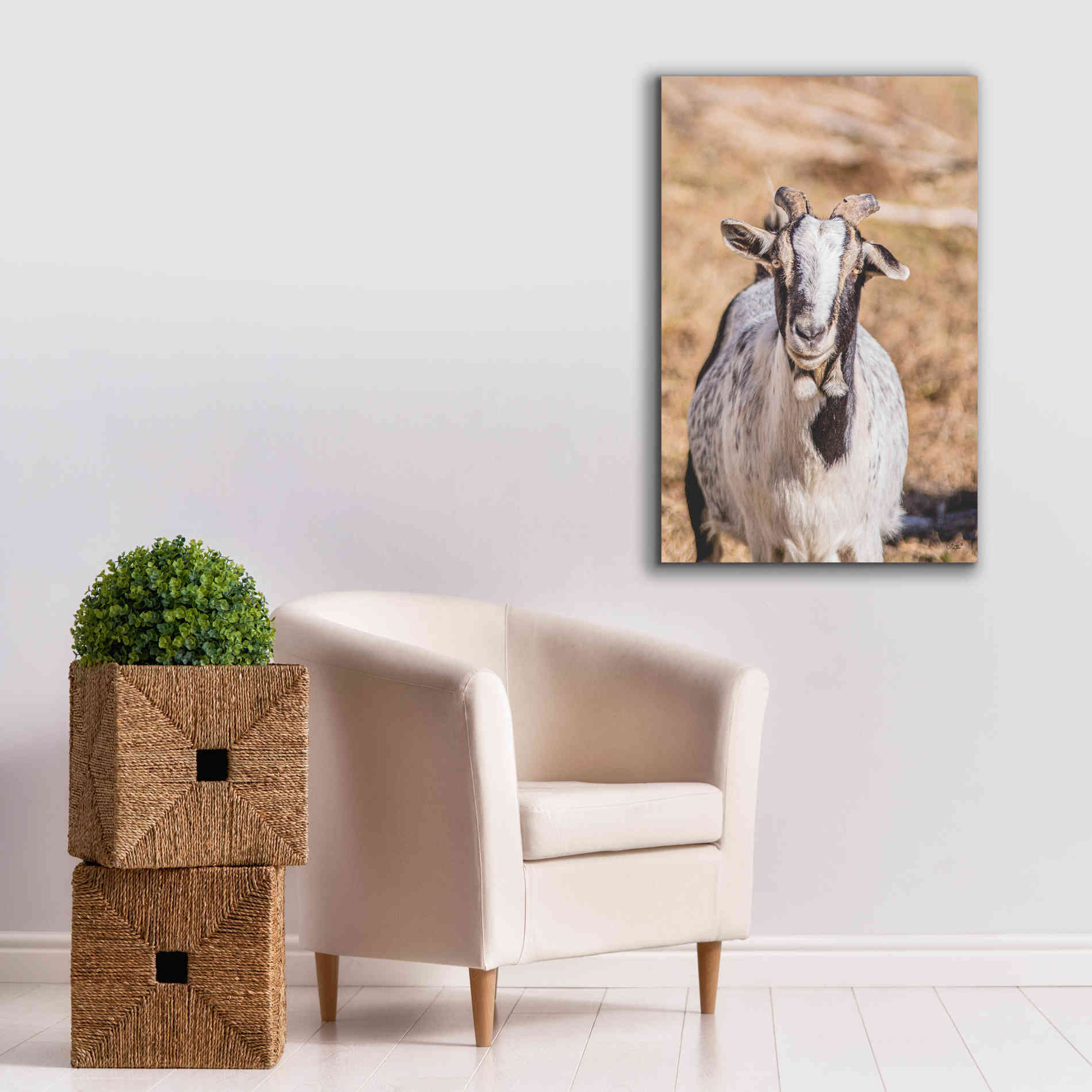 'Short Beard' by Donnie Quillen Canvas Wall Art,26 x 40