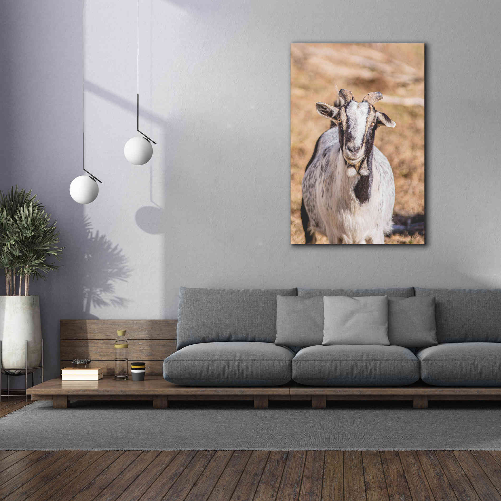 'Short Beard' by Donnie Quillen Canvas Wall Art,40 x 60