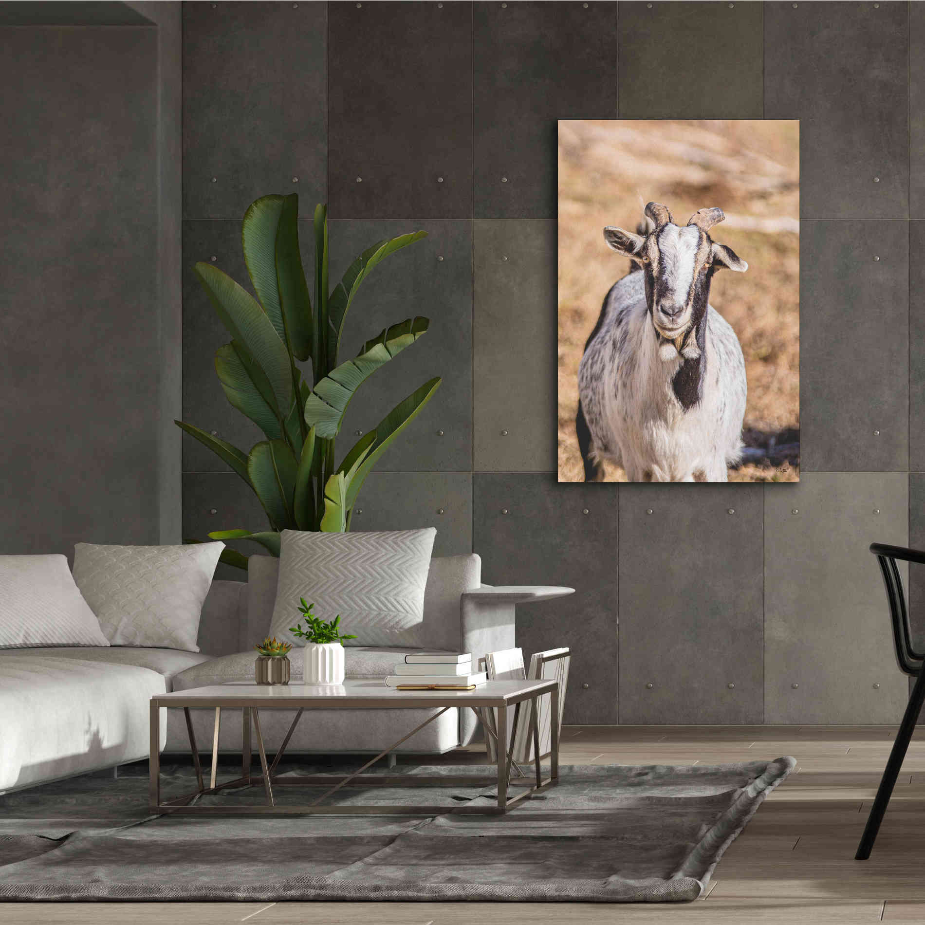 'Short Beard' by Donnie Quillen Canvas Wall Art,40 x 60