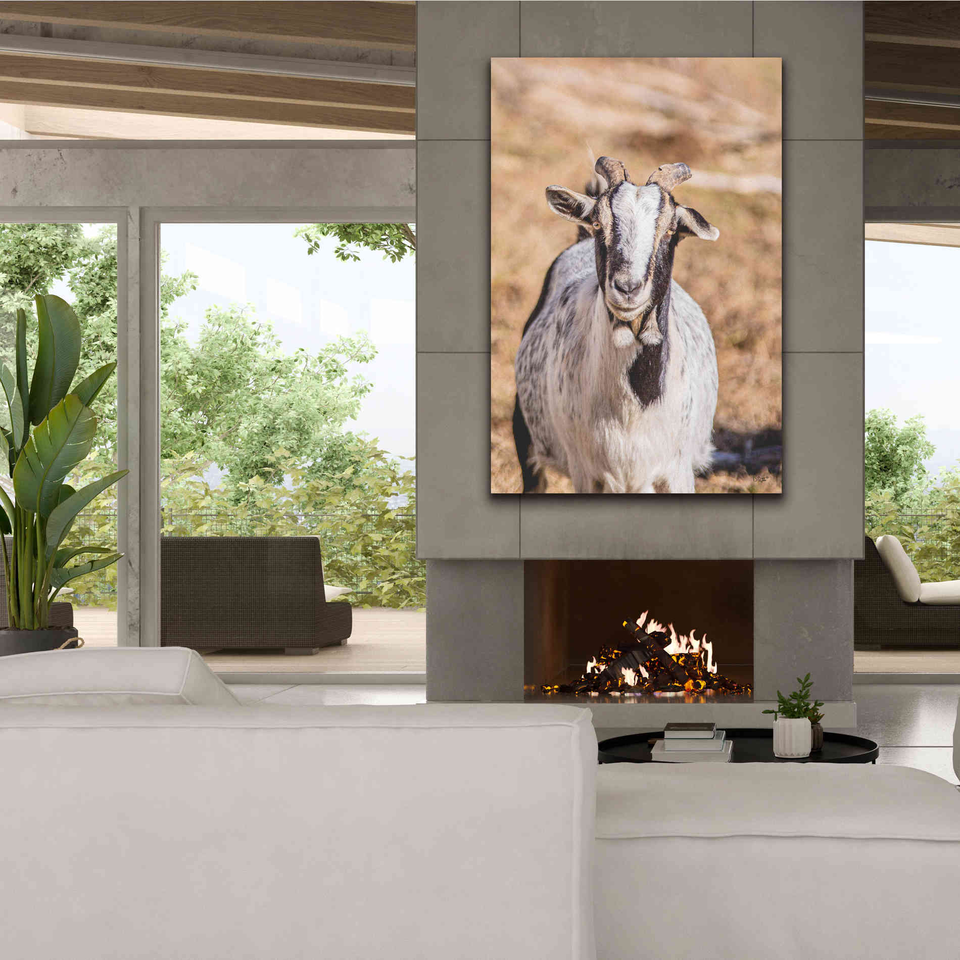 'Short Beard' by Donnie Quillen Canvas Wall Art,40 x 60