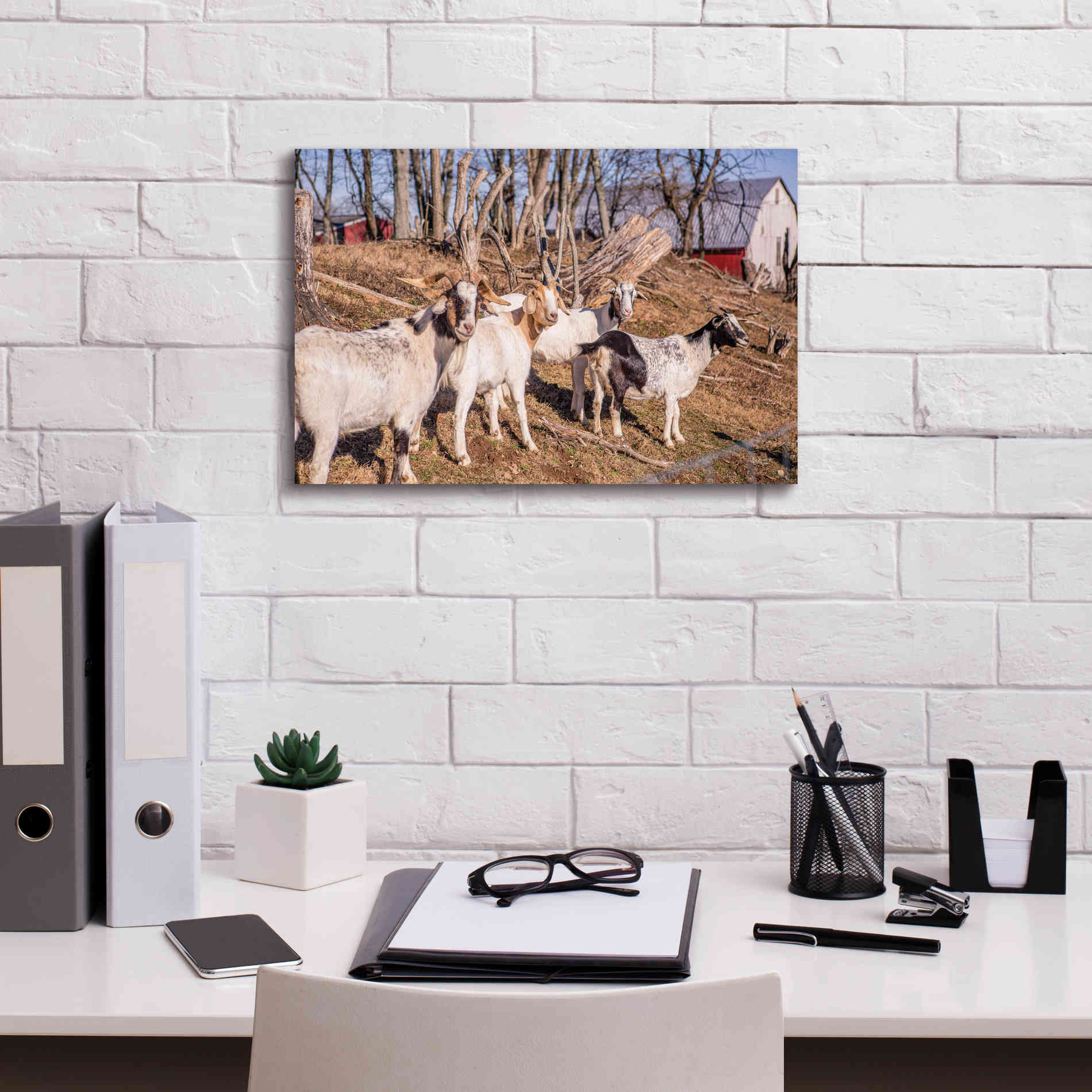 'Goats of a Feather' by Donnie Quillen Canvas Wall Art,18 x 12