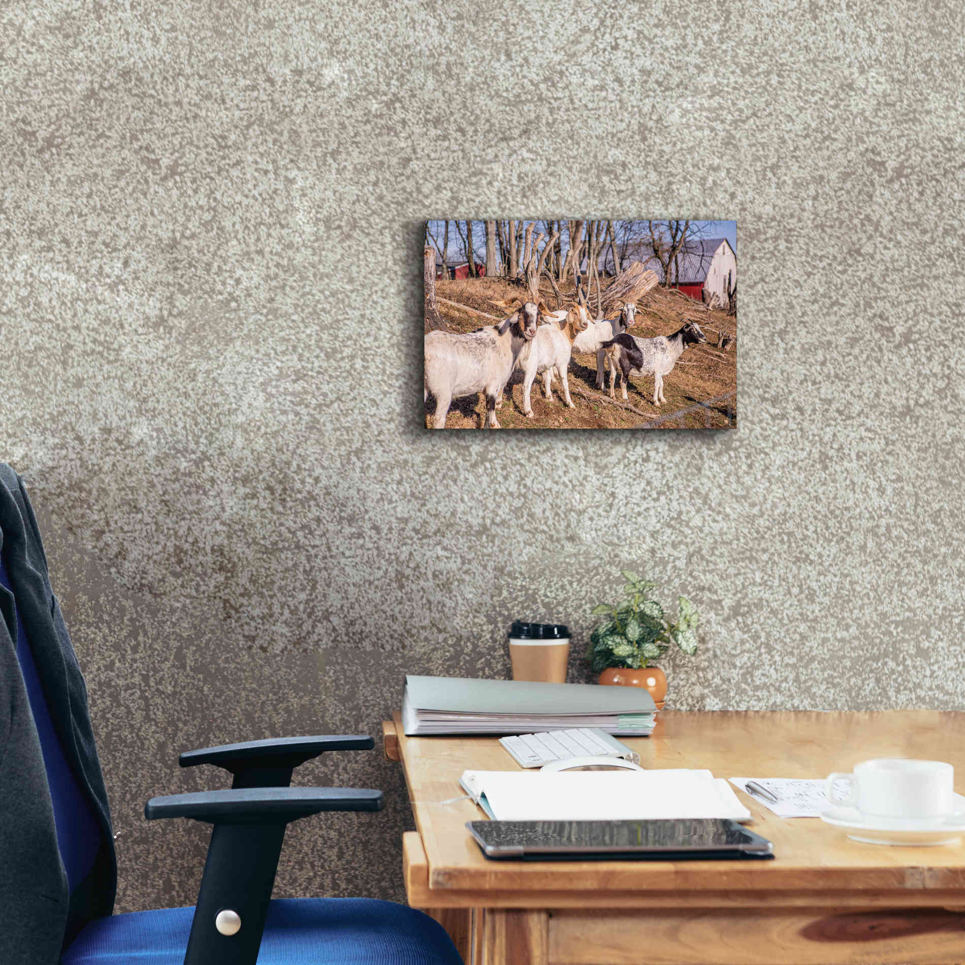 'Goats of a Feather' by Donnie Quillen Canvas Wall Art,18 x 12