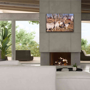 'Goats of a Feather' by Donnie Quillen Canvas Wall Art,40 x 26