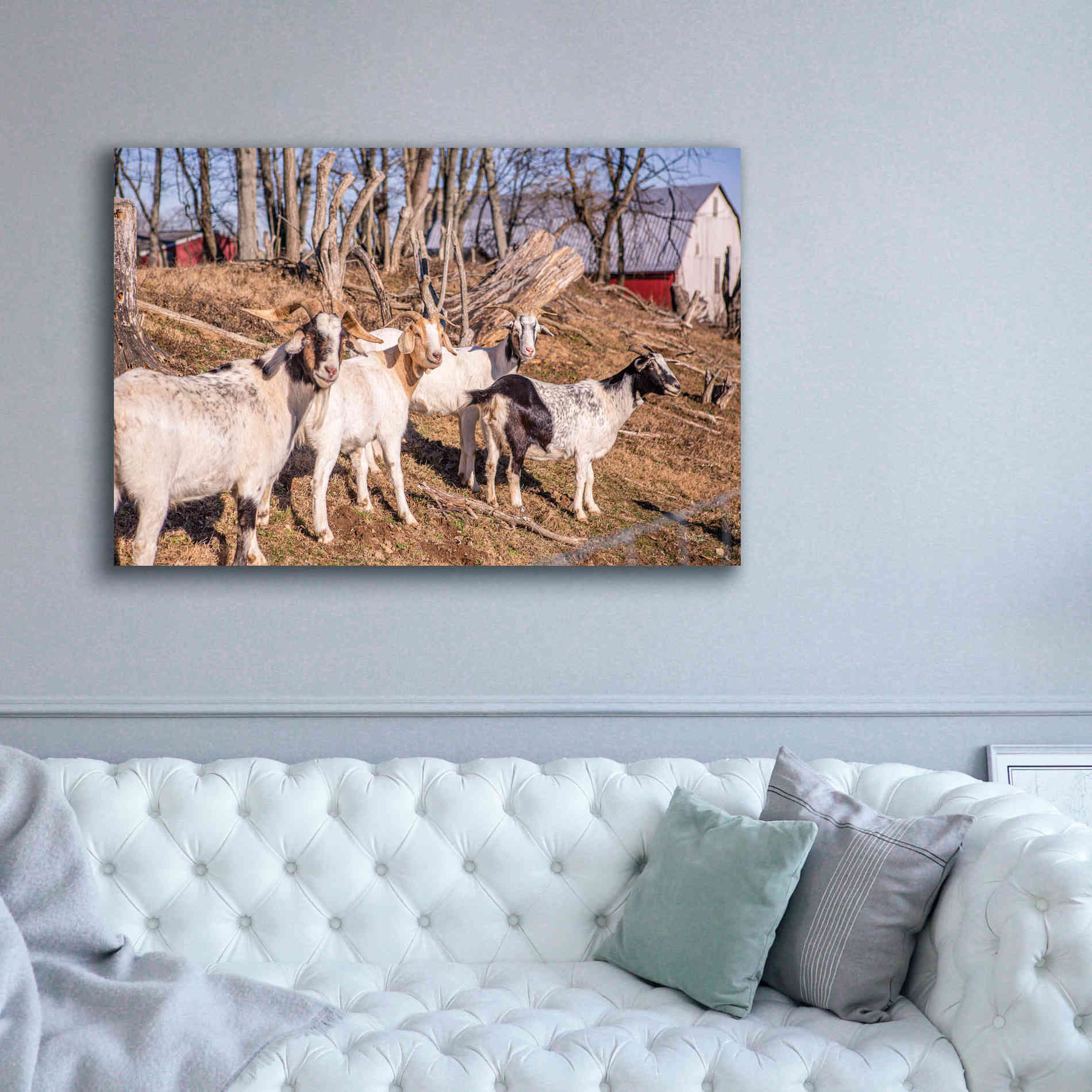 'Goats of a Feather' by Donnie Quillen Canvas Wall Art,60 x 40