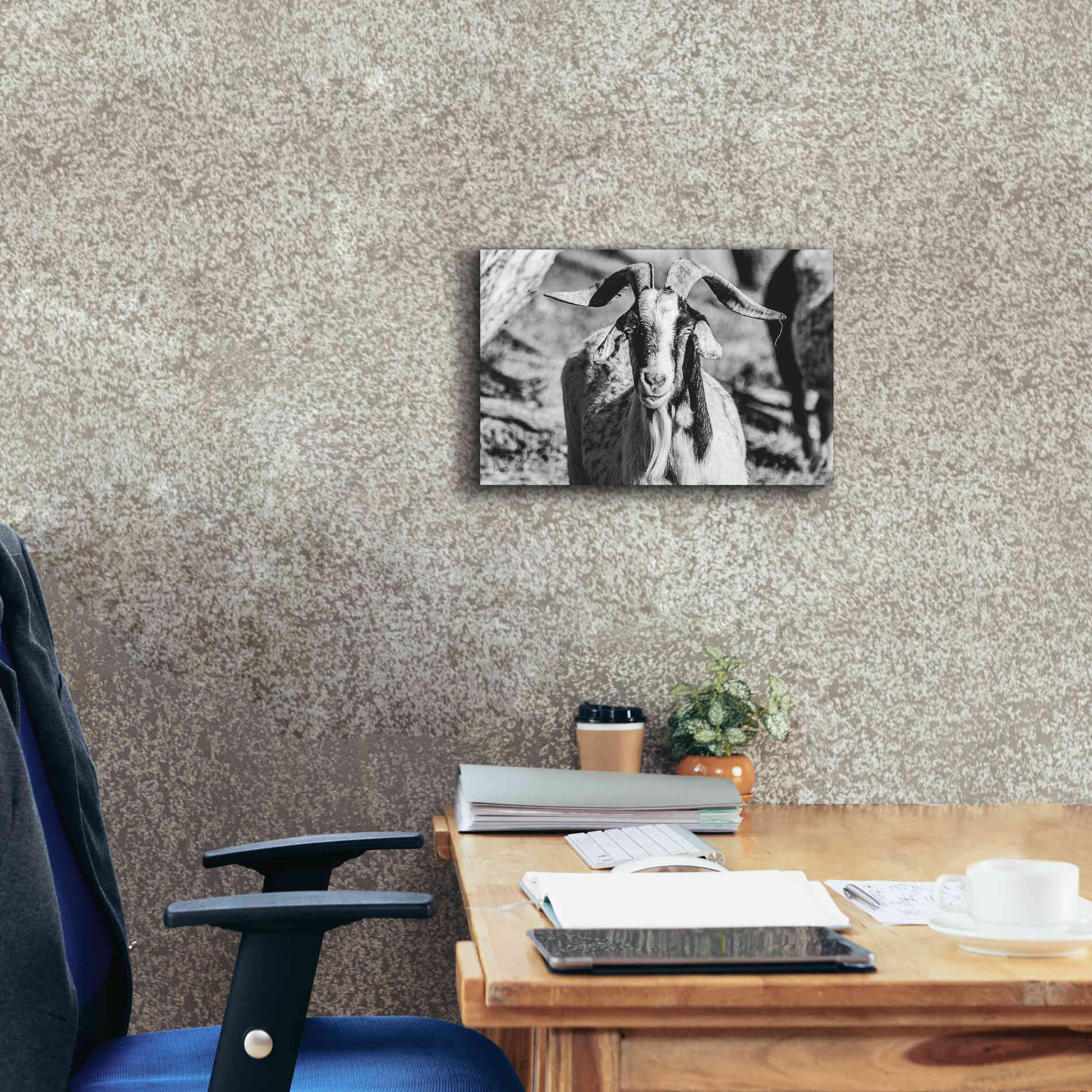 'Bearded Goat' by Donnie Quillen Canvas Wall Art,18 x 12