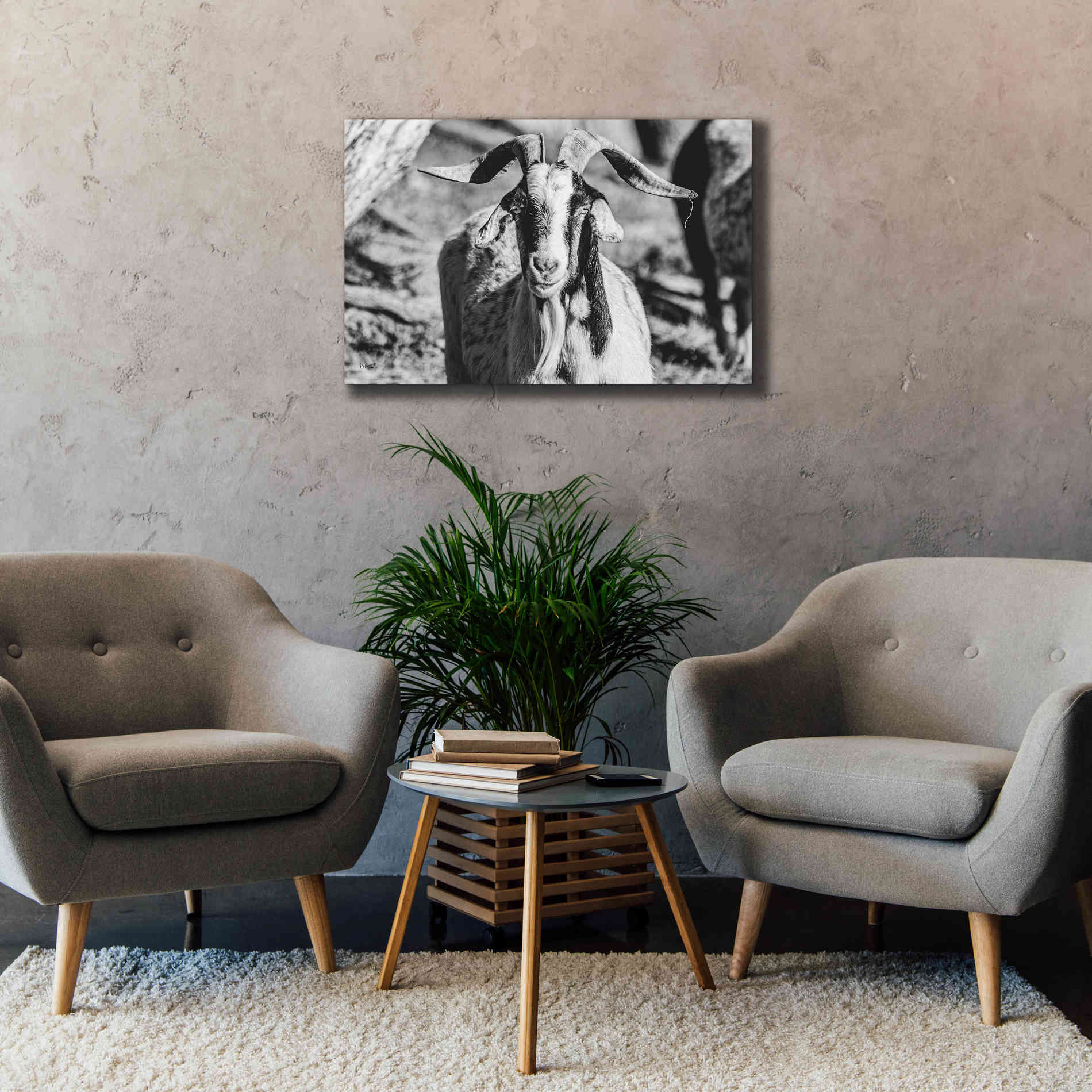 'Bearded Goat' by Donnie Quillen Canvas Wall Art,40 x 26