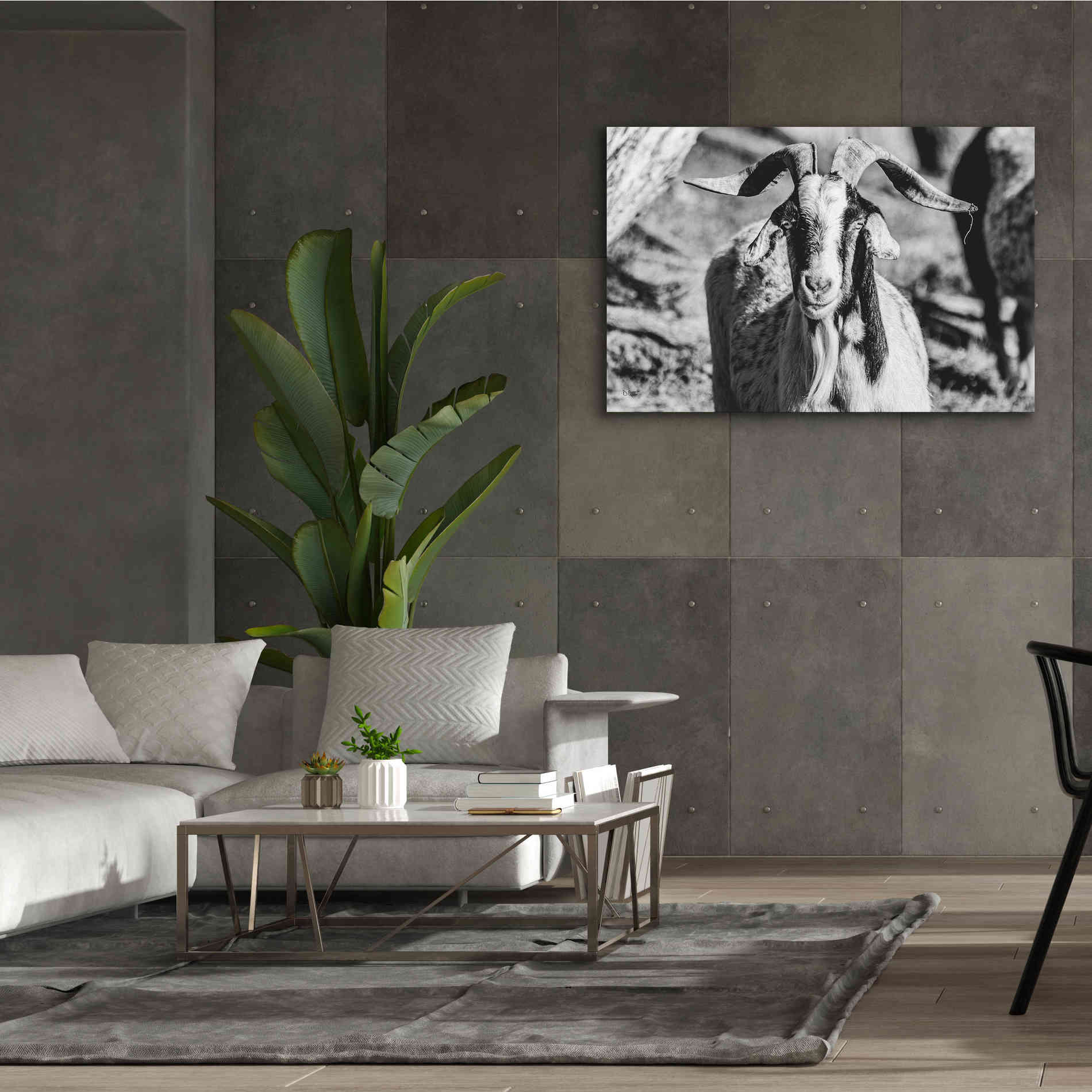'Bearded Goat' by Donnie Quillen Canvas Wall Art,60 x 40