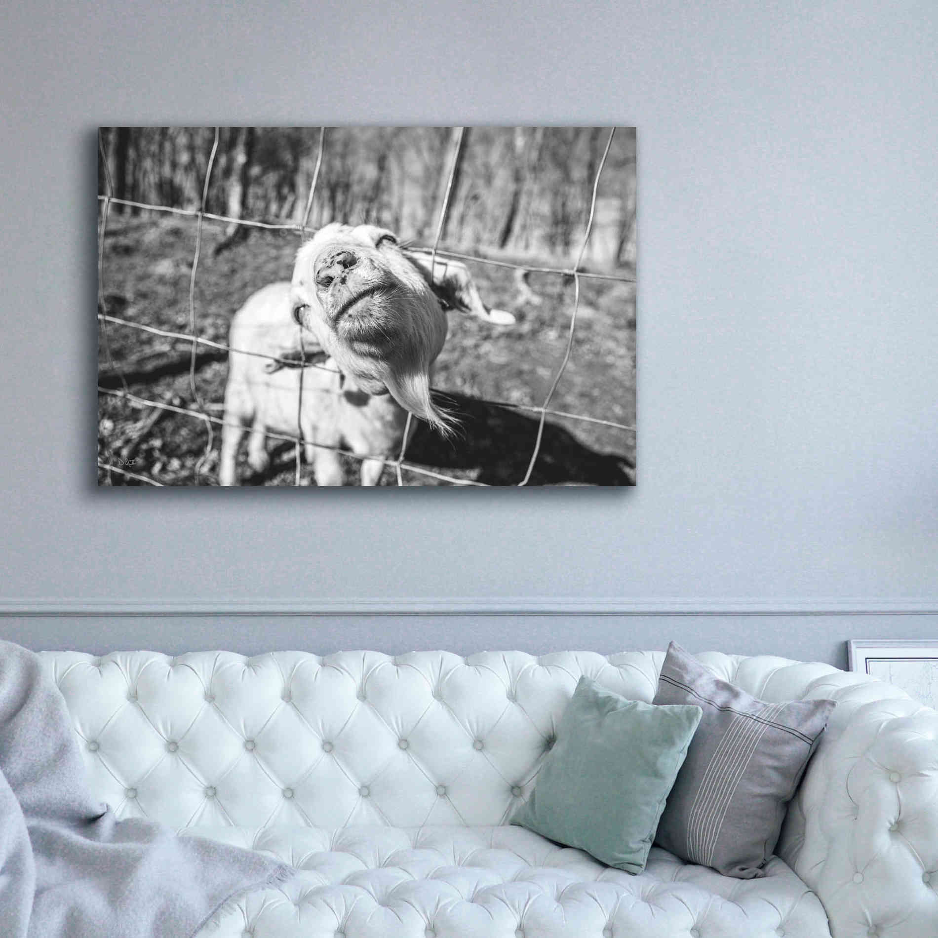'Hey Goat' by Donnie Quillen Canvas Wall Art,60 x 40